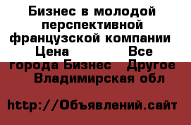 Бизнес в молодой перспективной французской компании › Цена ­ 30 000 - Все города Бизнес » Другое   . Владимирская обл.